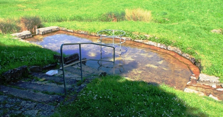 IMG_0041.JPG 448x236