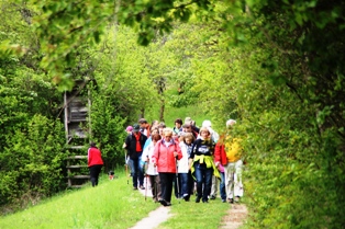 IMG_0085.JPG 314x209